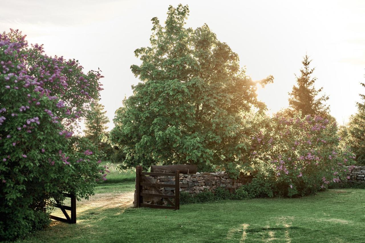 Matsi Cottage Igaküla المظهر الخارجي الصورة