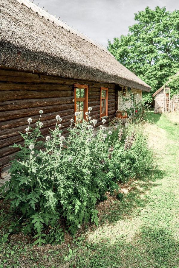 Matsi Cottage Igaküla المظهر الخارجي الصورة