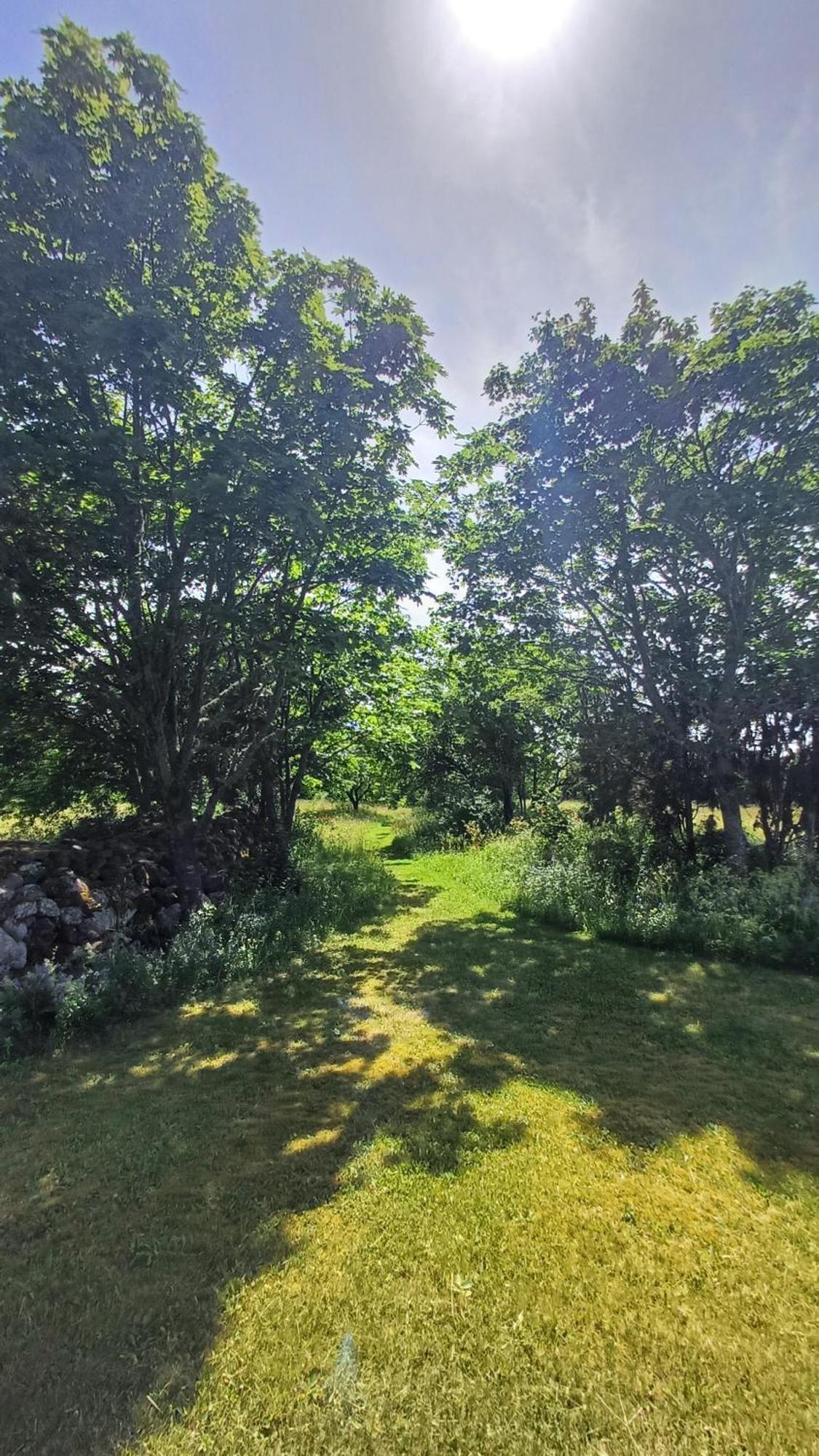 Matsi Cottage Igaküla المظهر الخارجي الصورة